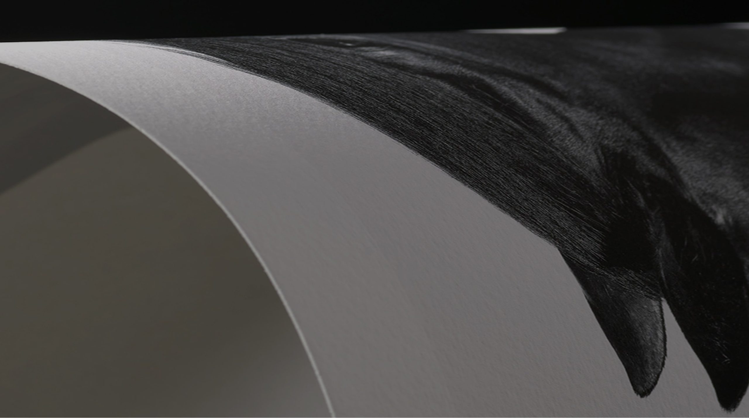 Paper canvas printing